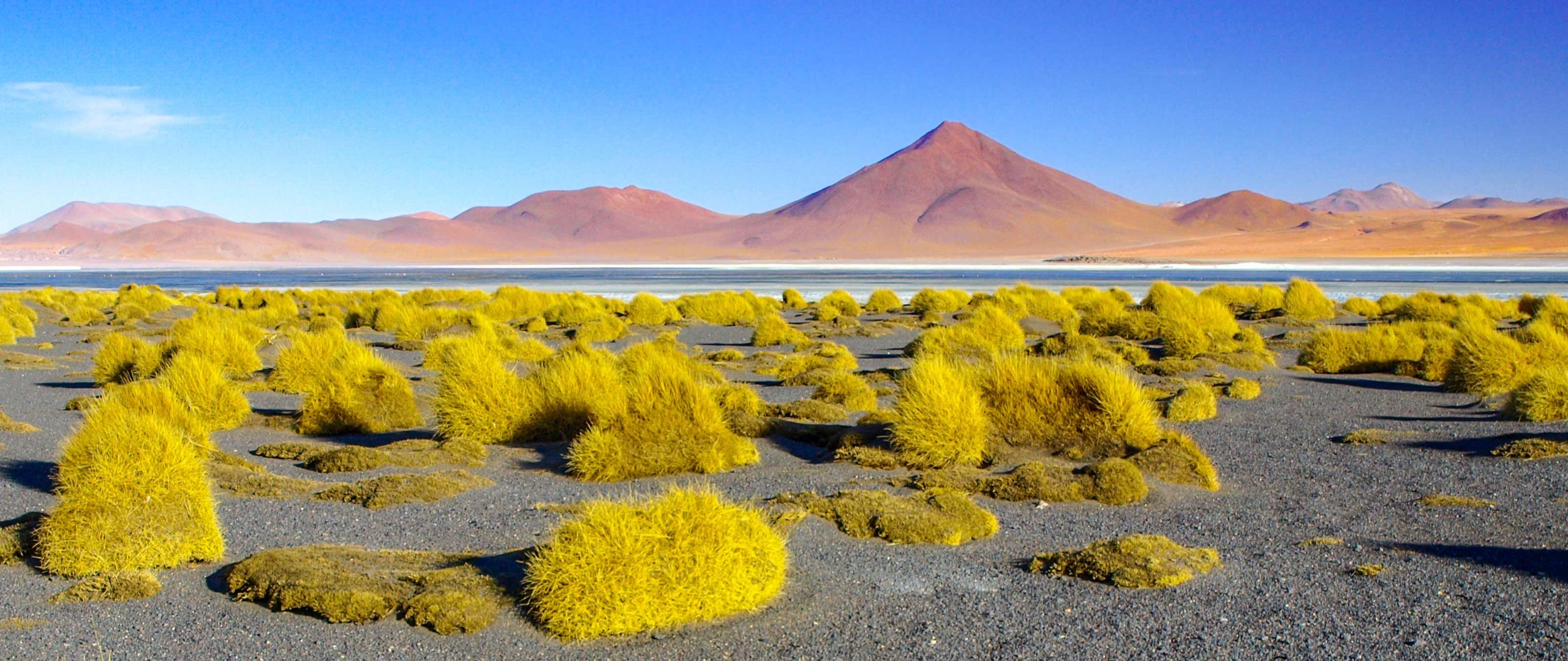 bolivien-laguna-colorado-trekking-puretreks
