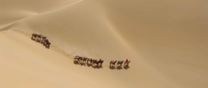 kamelkarawane-in-badain-jaran-shamo-innere-mongolei