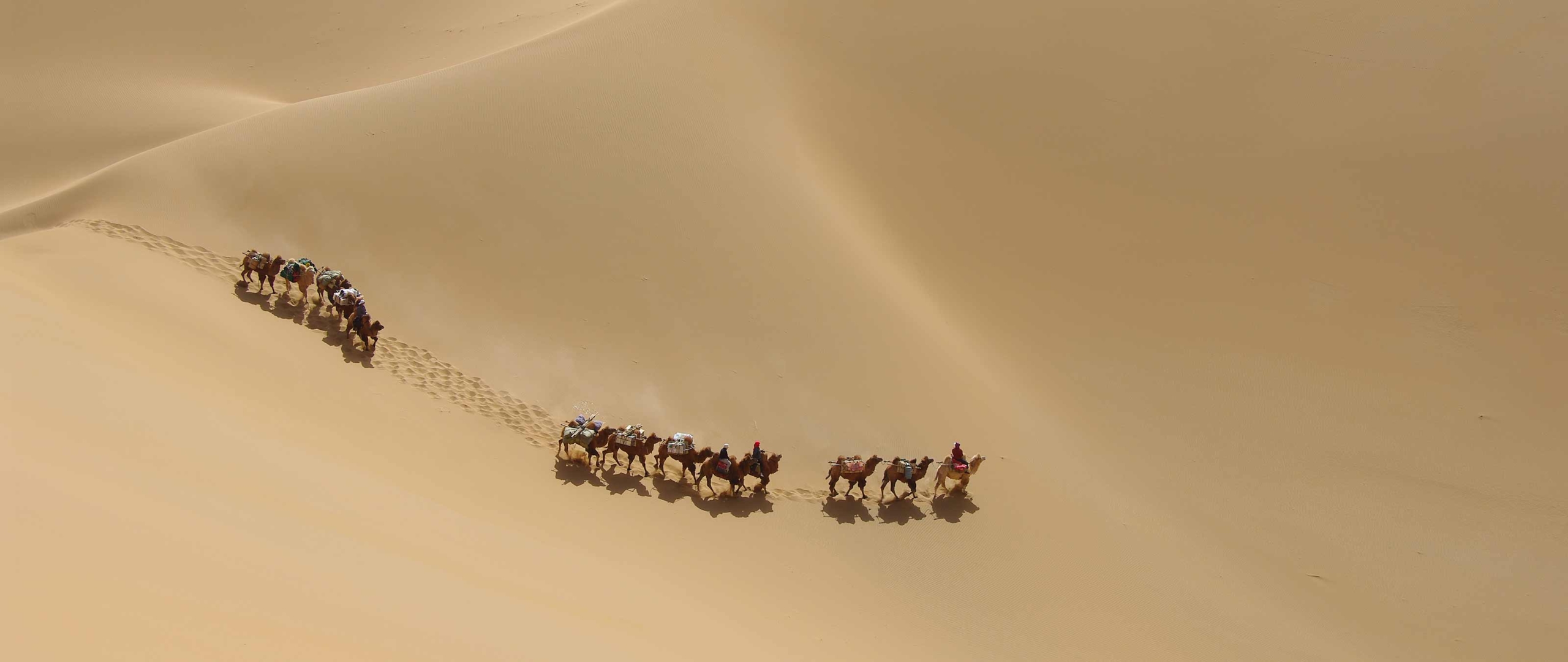 kamelkarawane-in-badain-jaran-shamo-innere-mongolei