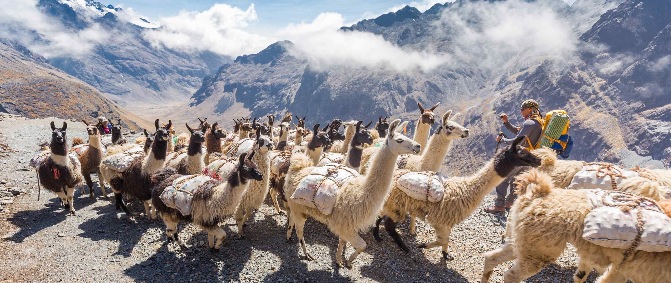 bolivien-trek-lamas-choro-trail