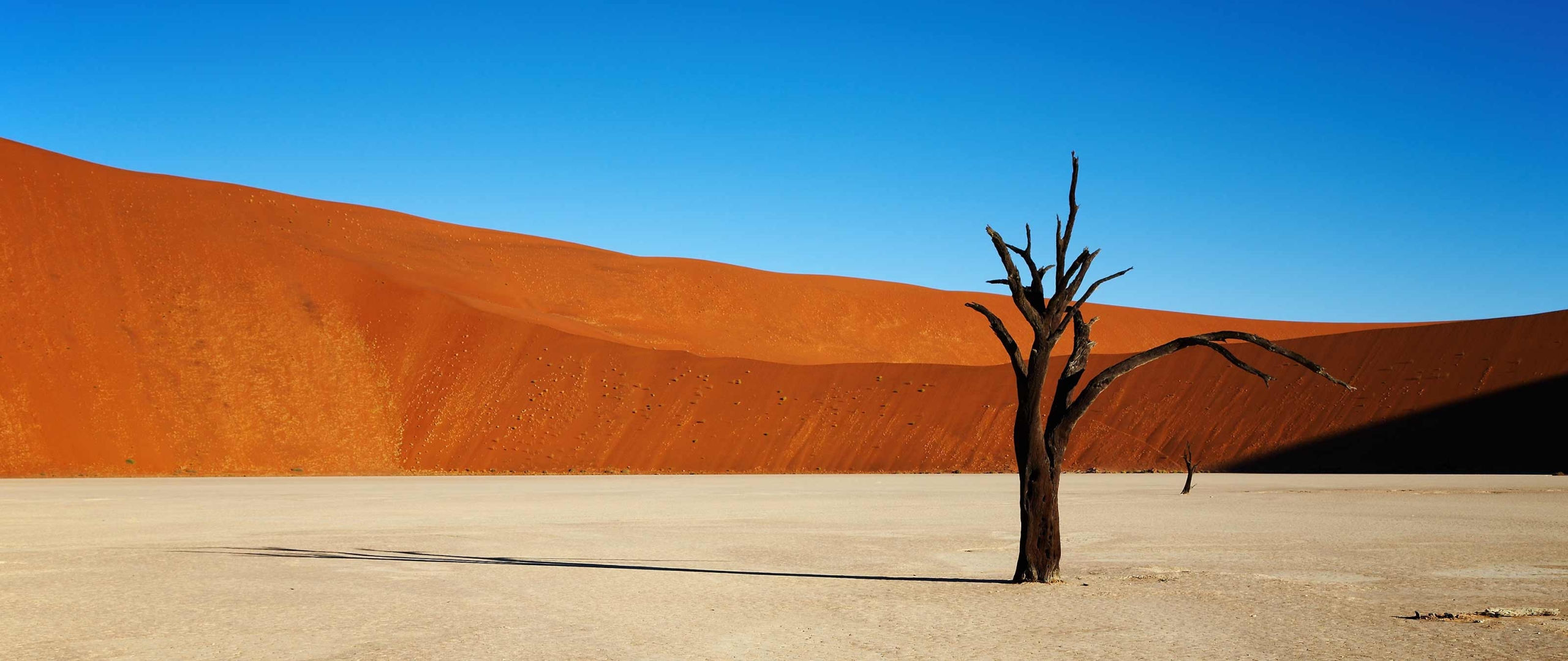 deadvlei-namibia-wanderreise-puretreks