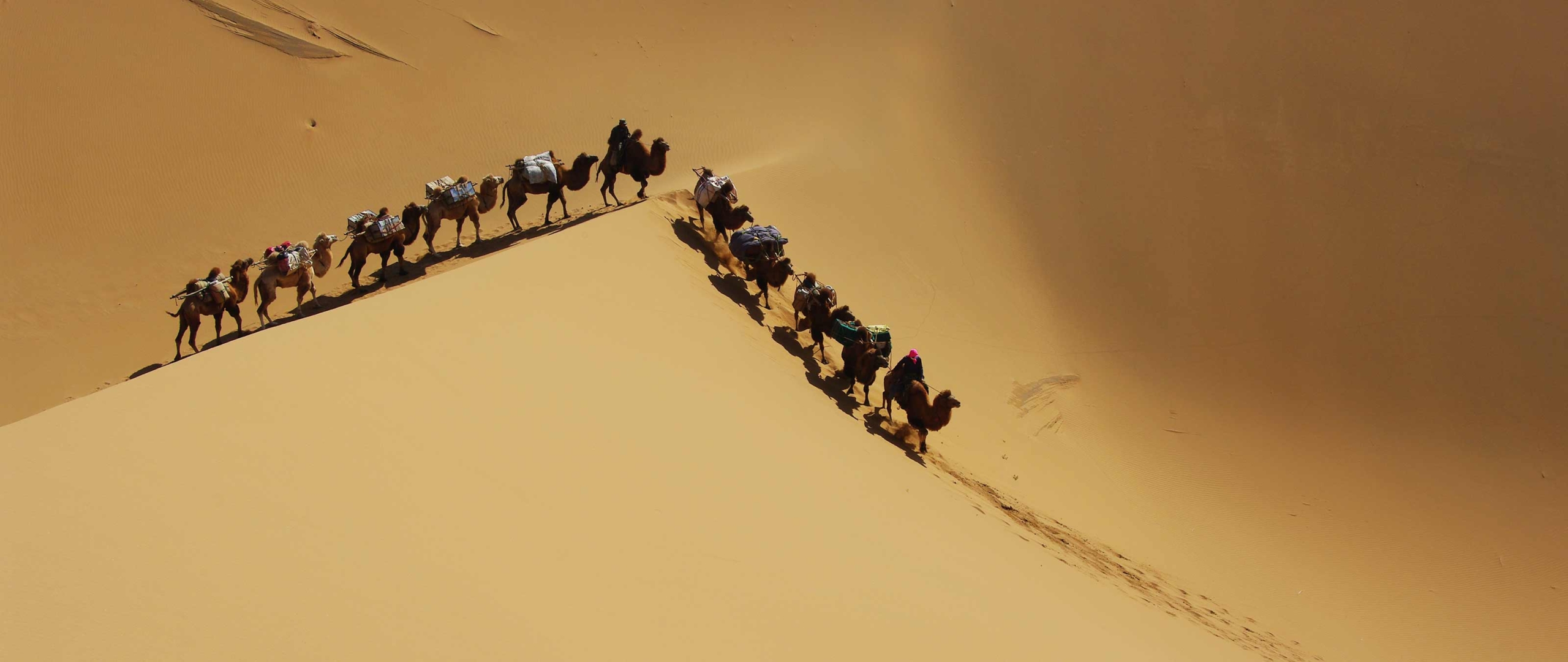 gobi-wuestenreisen-badain-jaran-puretreks