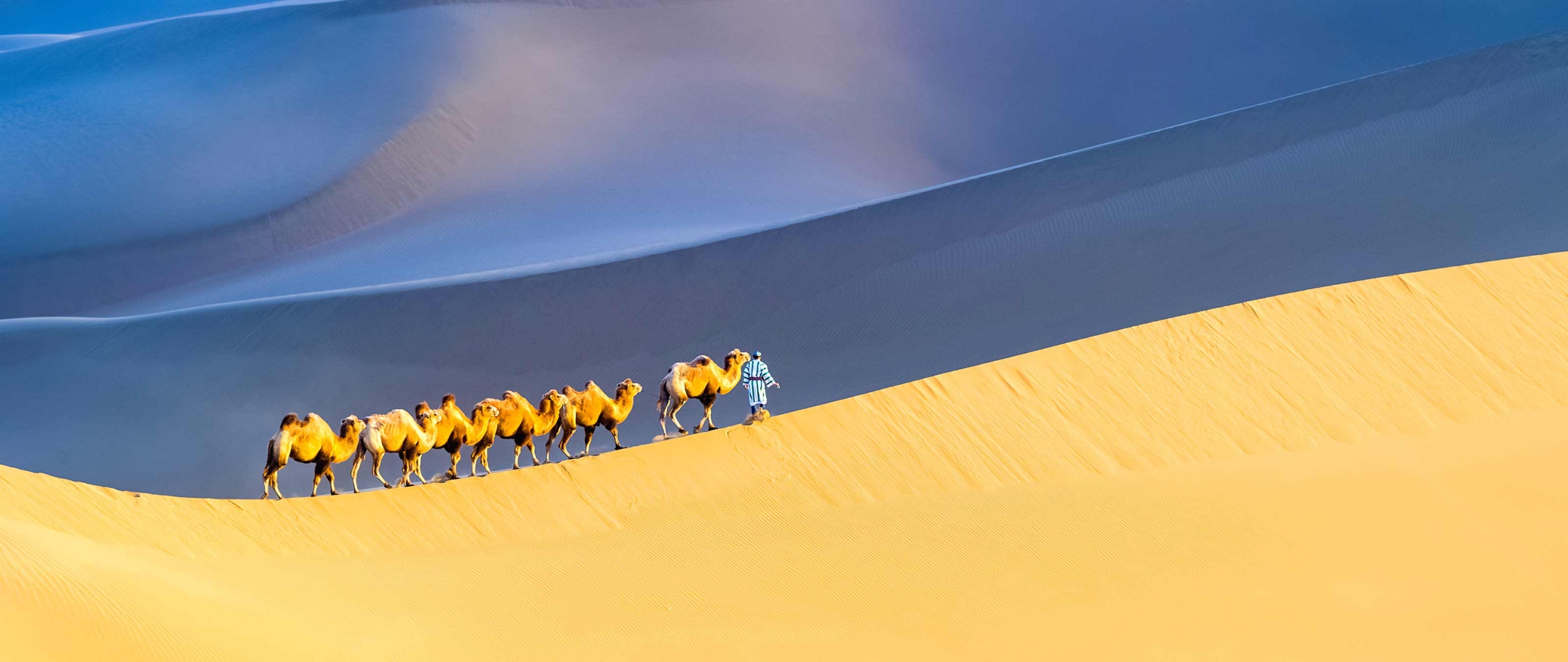 karawanenreise-wueste-gobi-puretreks