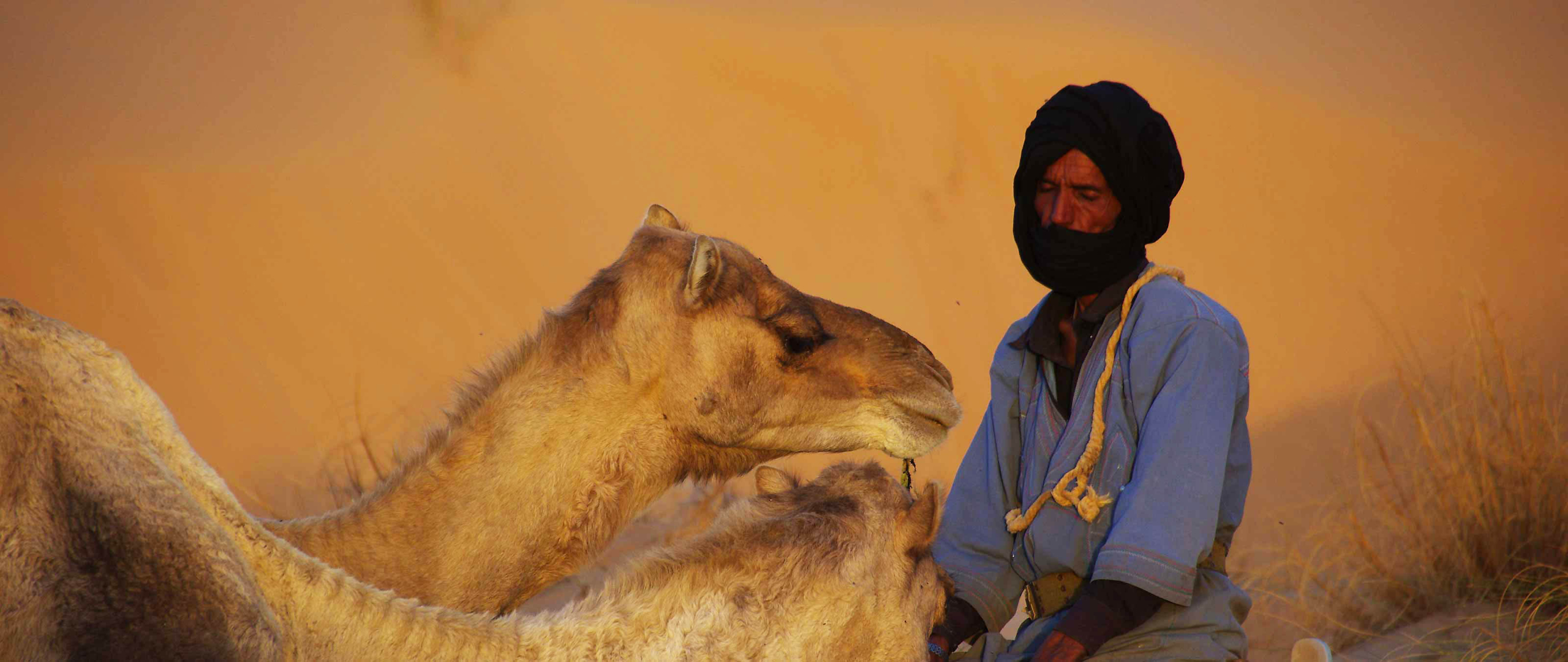 mauretanien-reise-wandern-puretreks