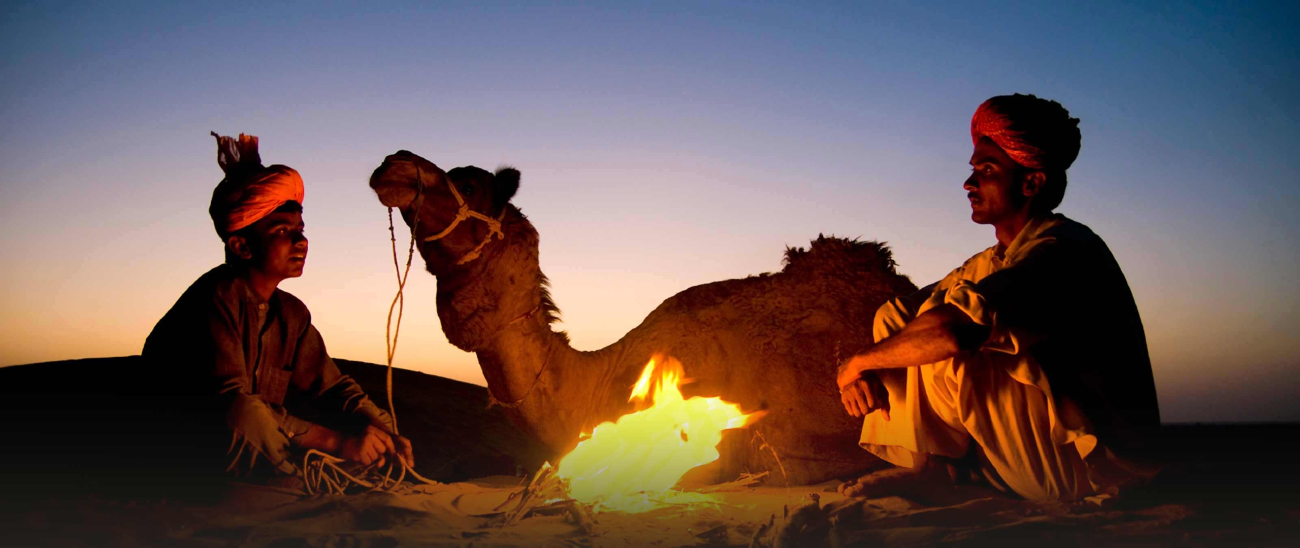 reisen-mit-nomaden-kamele-puretreks