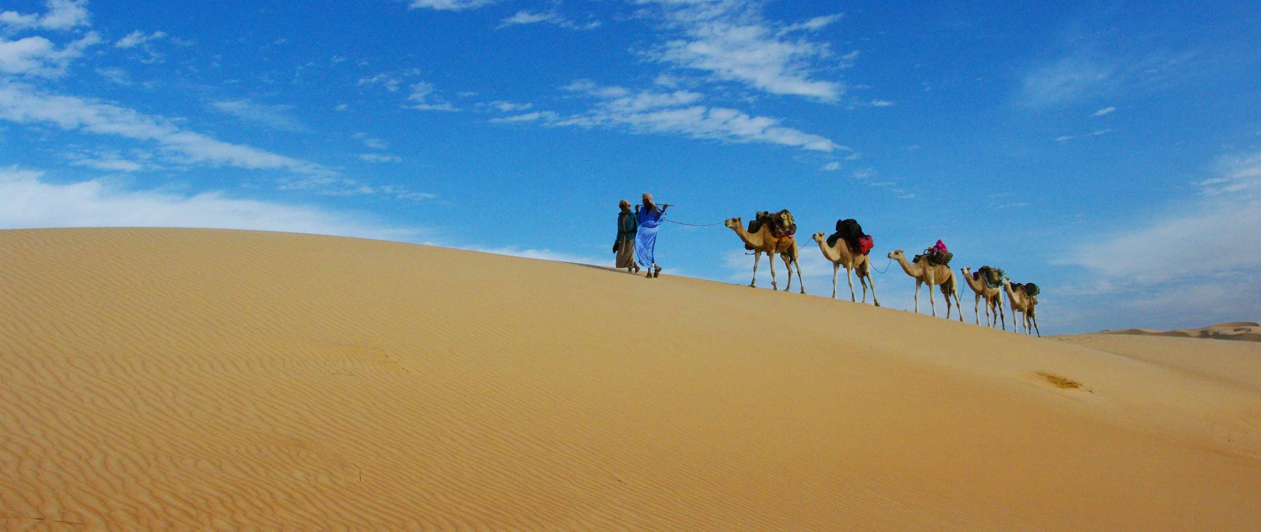 sahara-wuestenreisen-puretreks