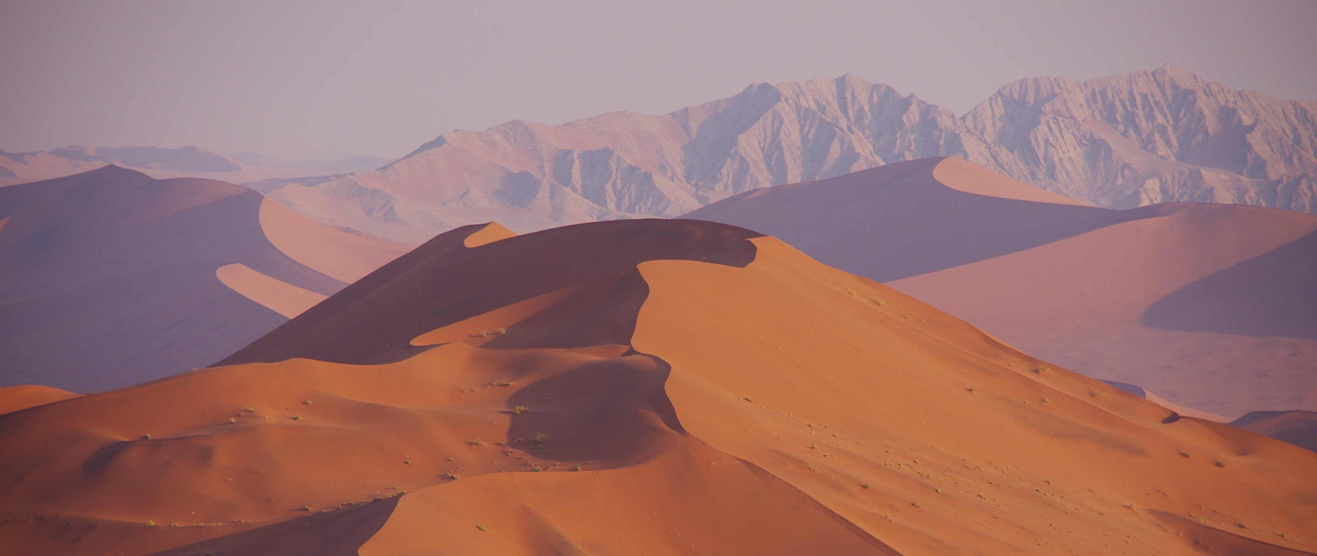 sossusvlei-witberg-trekkingreise-puretreks