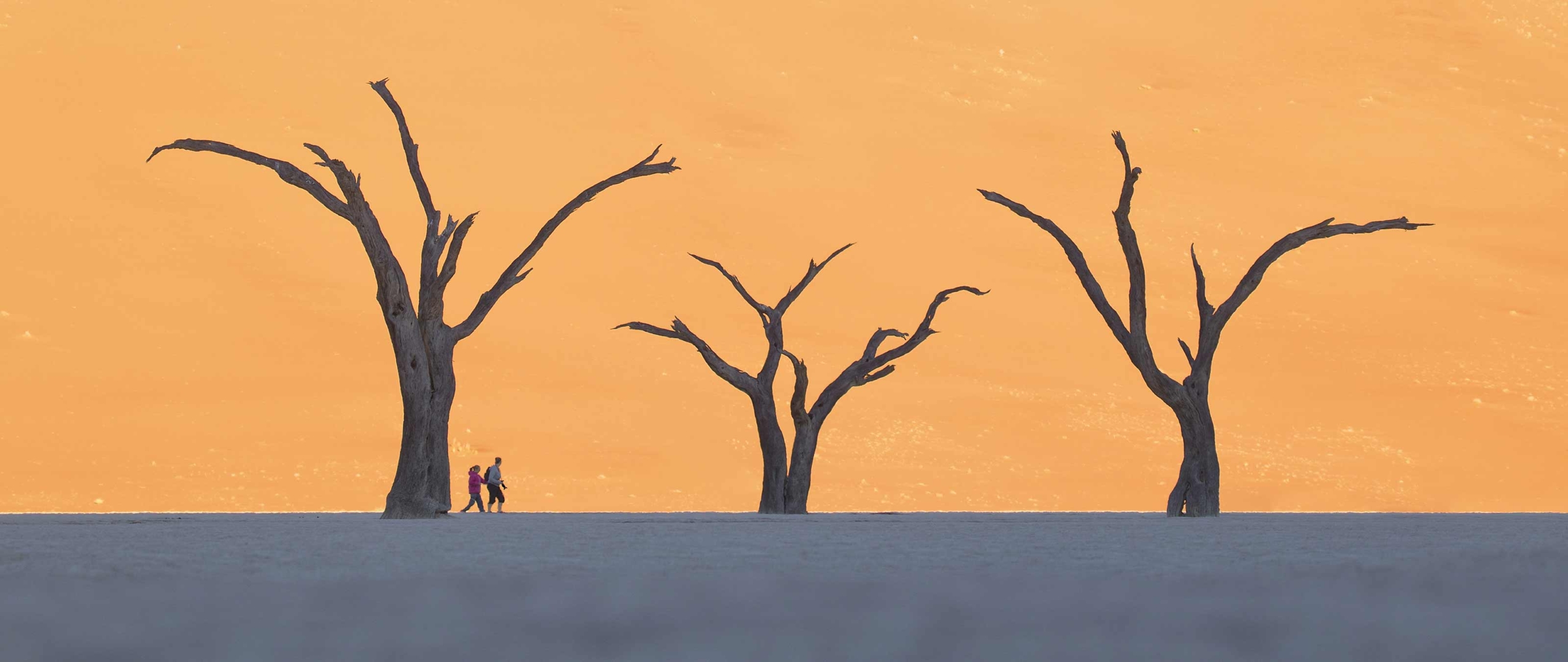 wanderer-im-dead-vlei-wueste-namib-puretreks-2