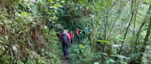 yungas-wolkenwald-choro-trail-trekking