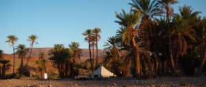 camp-jebel-bani-marokko-wuestentrek