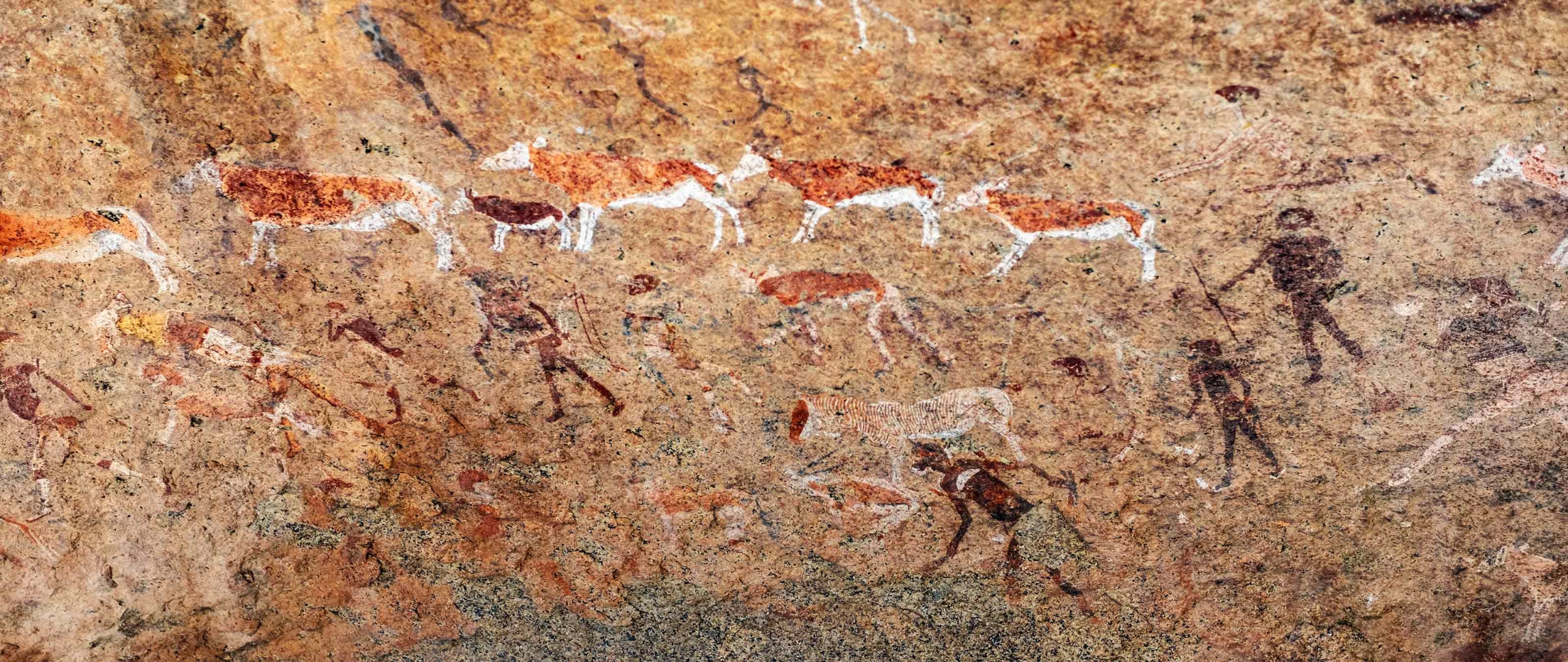 felsmalereien-damaraland-trekkingreise-namibia