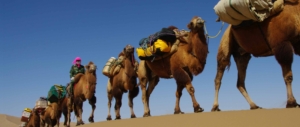kamelkarawane-kameltrekking-wueste-gobi