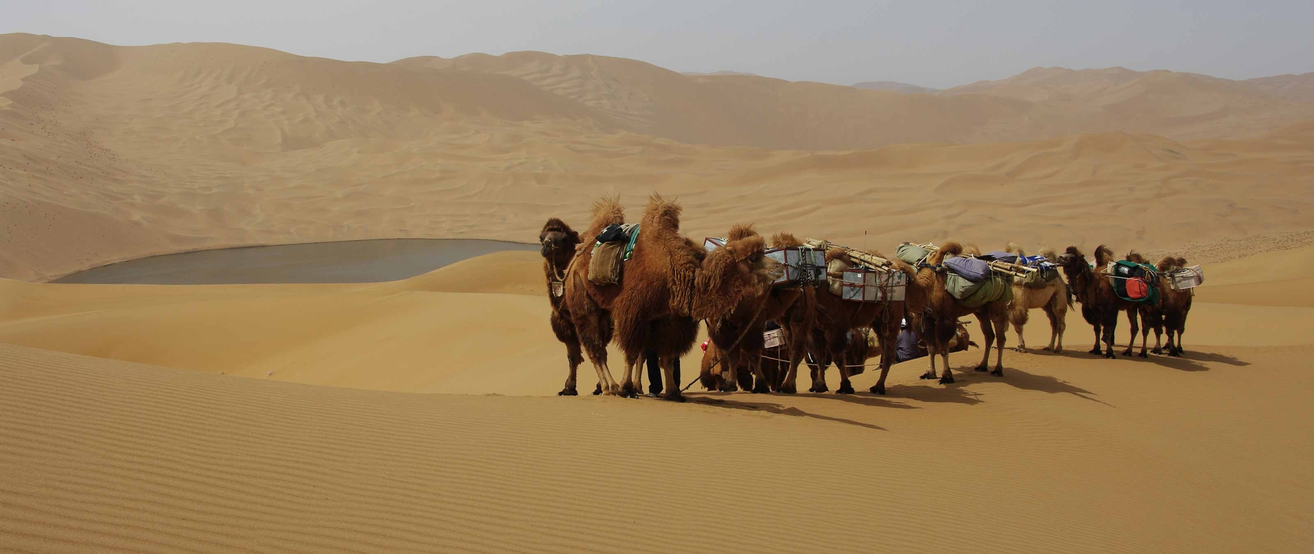 karawane-gobi-badain-jilin-wuestenwandern-2