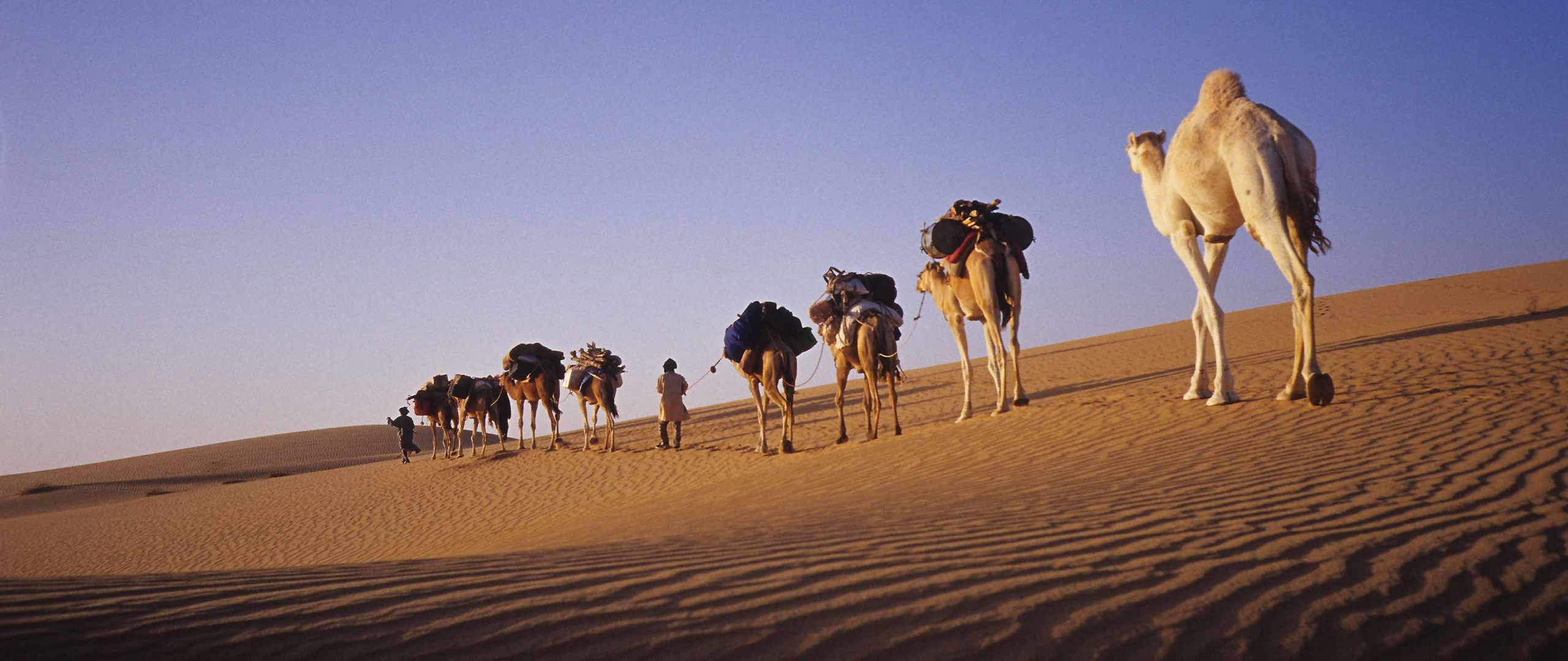 karawane-nomade-auf-zeit-mauretanien-puretreks