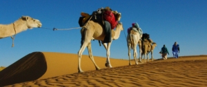 karawanenreise-mauretanien-mit-puretreks