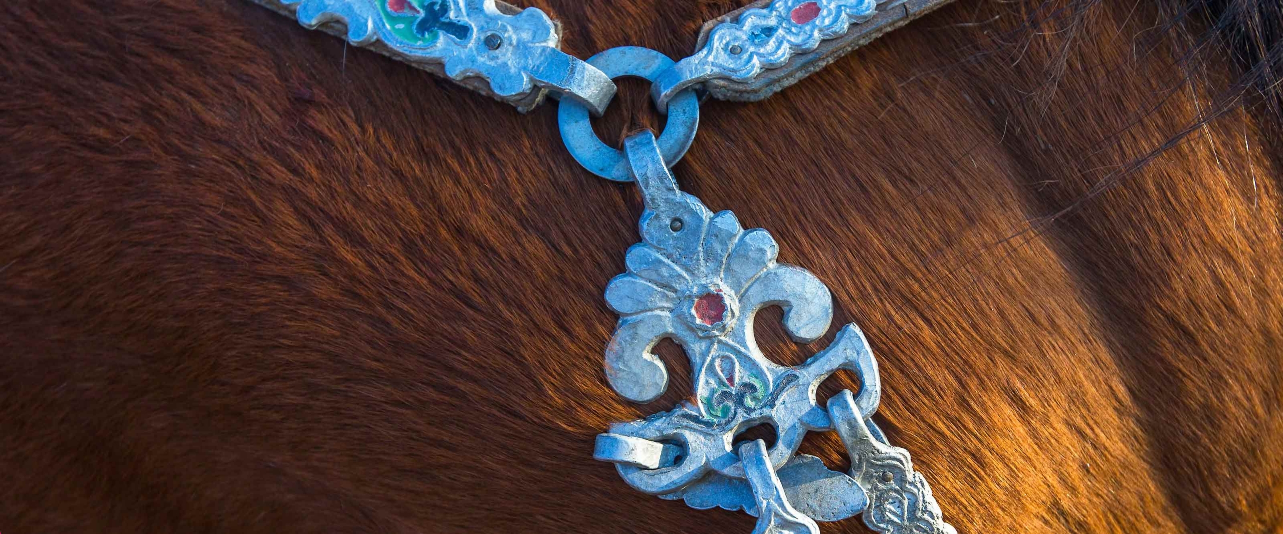 pferdeschmuck-mongolei-wandern-altai-mongolei