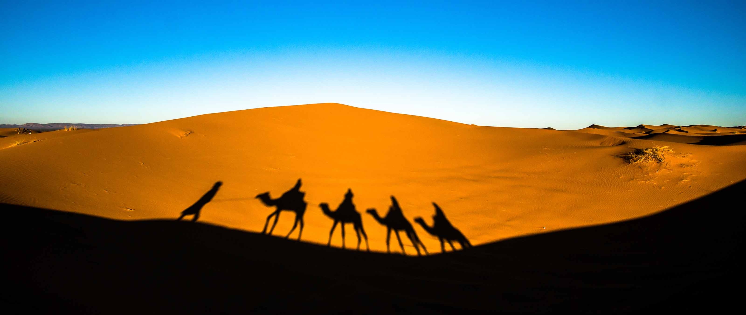 wuestenkarawane-im-grand-erg-oriental-wandern-meharee