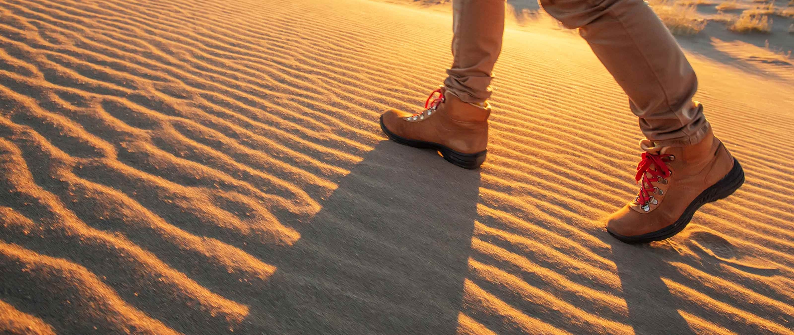 Welche Wüstenschuhe Test update