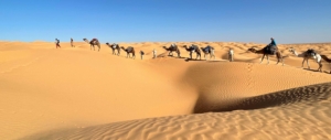 kameltrekking-wuestenwandern-tunesien-karawanenreise-puretreks