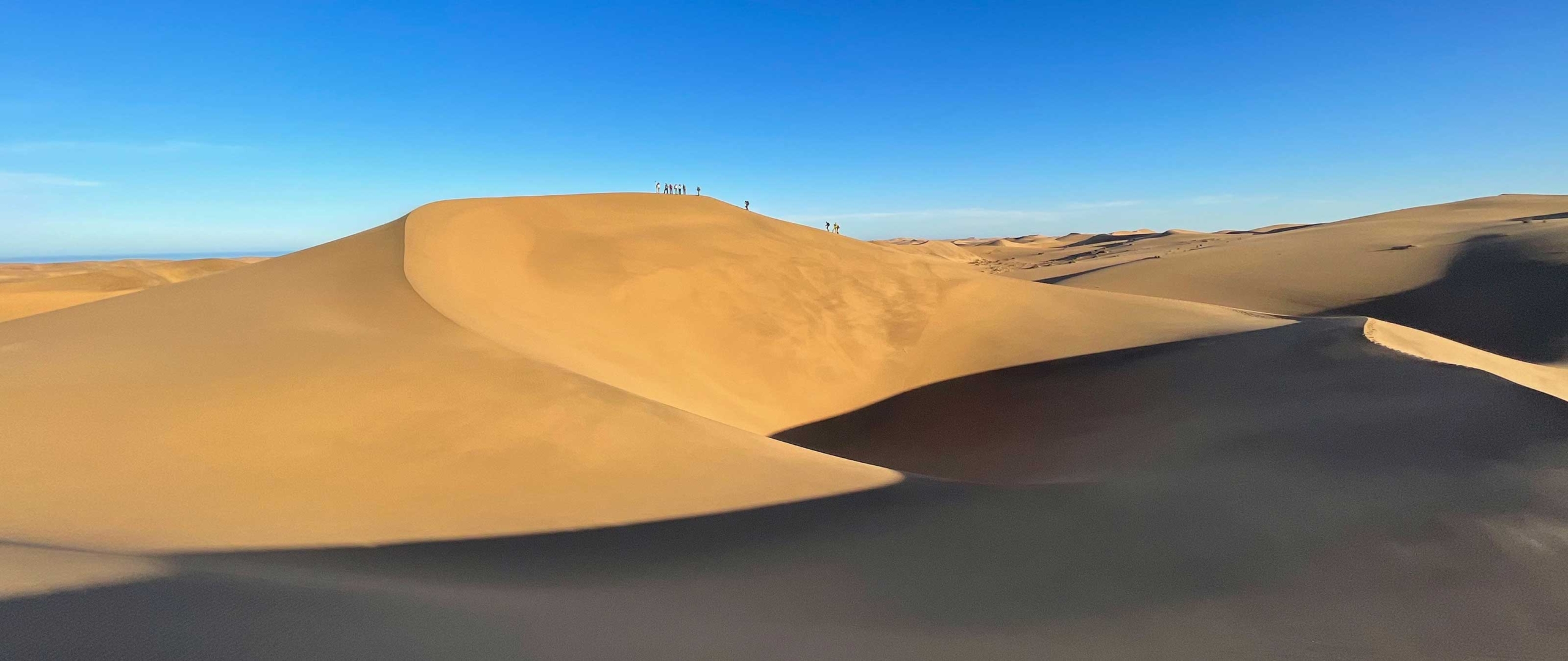wuestendurchquerung-namibia-sossusvlei-zur-skelettkueste-puretreks