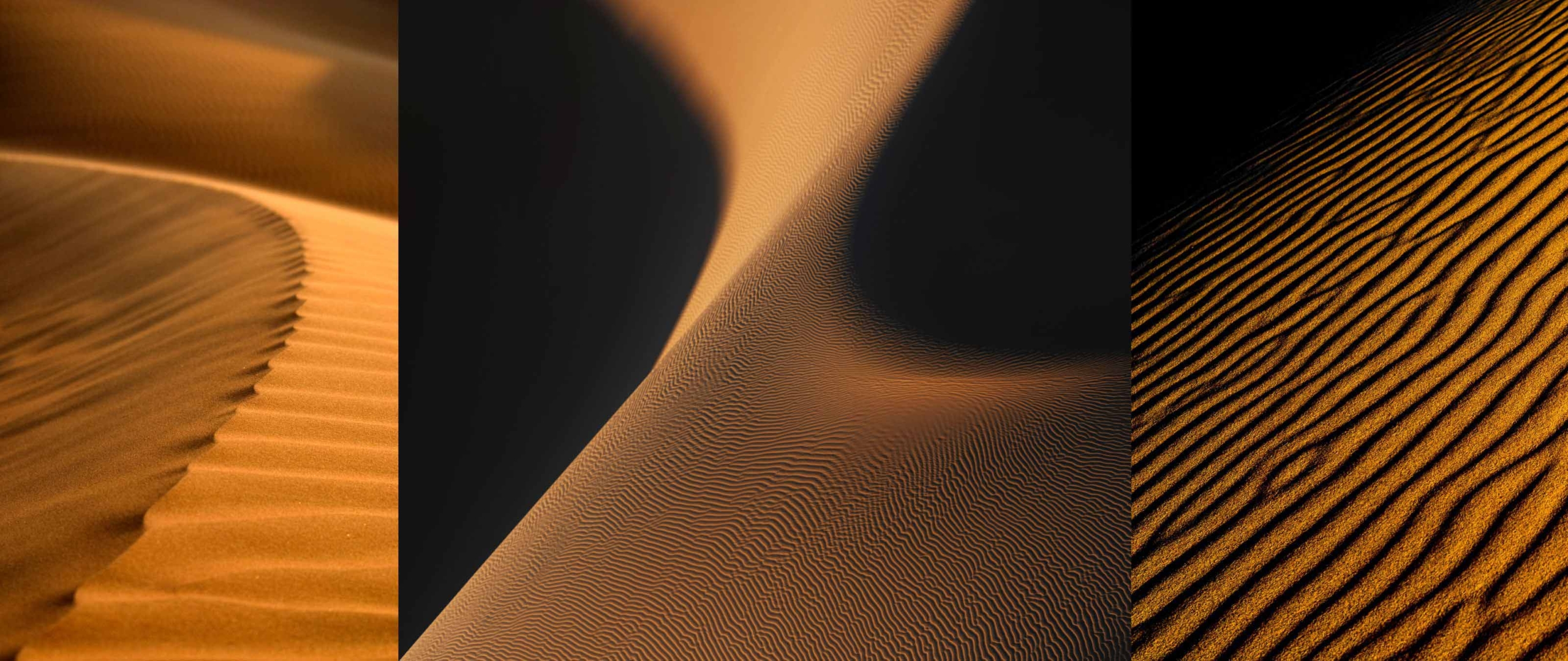 wuestenfotografie-reisen-mit-puretreks-oman